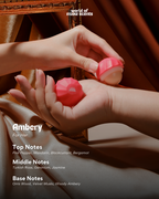 Ambery Solid Perfume + Grey Crocy Case