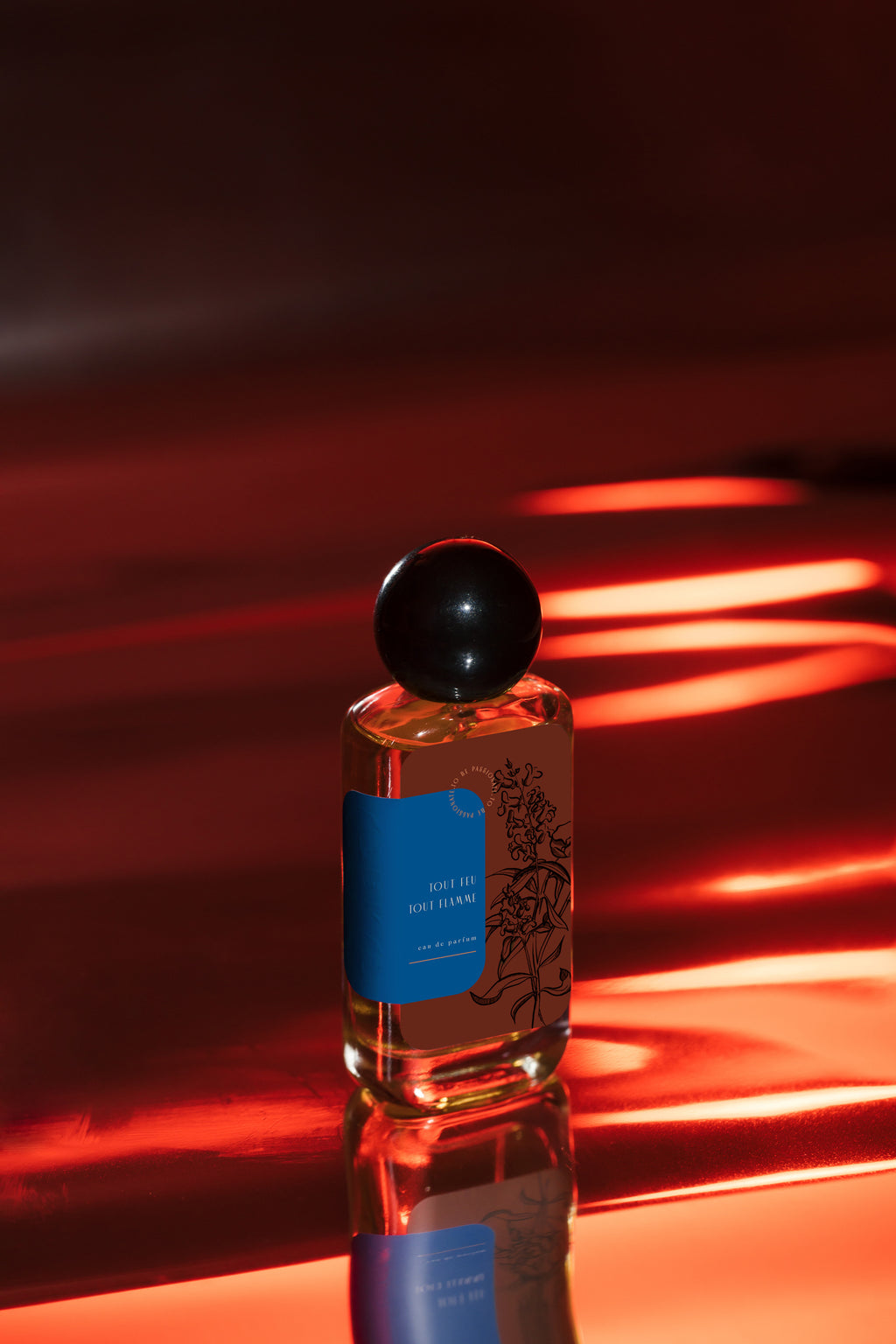 Tout Feu Tout Flamme