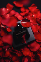 Twisted Romance