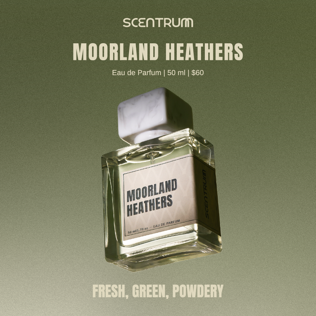 Moorland Heathers