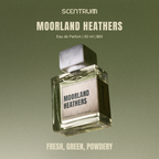 Moorland Heathers