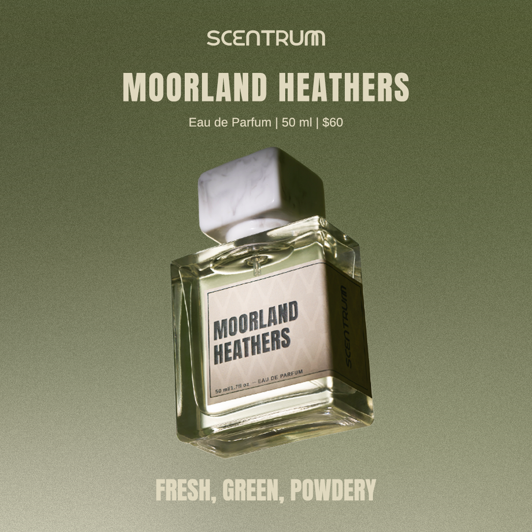 Moorland Heathers