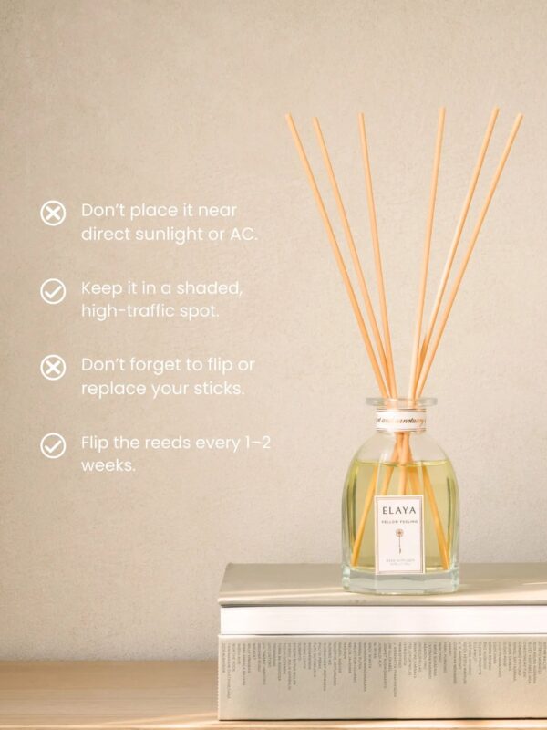 ELAYA Homebody 125ml Reed Diffuser